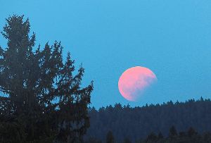 Freie Sicht auf die partielle Mondfinsternis: Dies ist am Montagabend in Wolfach möglich gewesen.    Foto: Schmalz