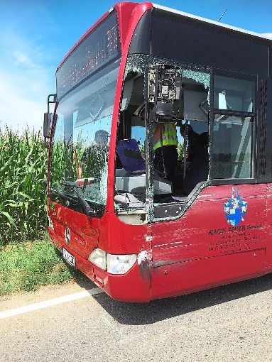 Bei dem Unfall wurden mehrere Personen leicht verletzt. Es entstand ein Sachschaden von rund 18. 000 Euro.   Foto:  Moosmann