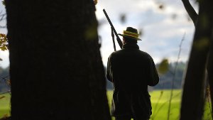 Räude: Jäger im Killertal schlagen Alarm