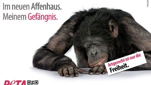 Tierrechtler haben Menschenaffenhaus in Stuttgart im Visier