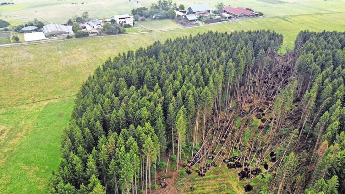 Sturmschäden machen Forst 2023 zu schaffen