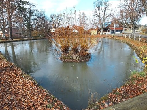 Der Weiher in Liebelsberg soll eingezäunt werden: Wenn das Gewässer zufriert, lockt es zum Eislaufen und das soll künftig verhindert werden.   Foto: Stocker