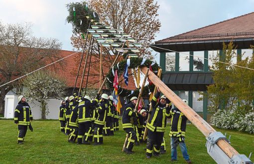 Mit vereinten Kräften hievten die Feuerwehrleute den Maibaum in die Höhe. Foto: Herzog Foto: Schwarzwälder Bote
