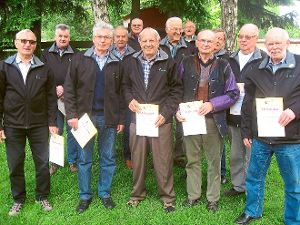 Mehrere Bezirks-Titel und Topplatzierungen räumten die Hechinger Seniorenschützen in den Klassen B und C ab.  Foto: Hakvoort Foto: Schwarzwälder-Bote