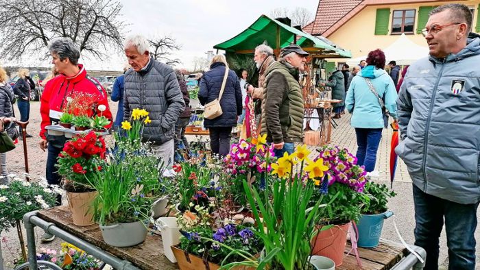 Hunderte Besucher strömen zur Münchweierer Pflanzenbörse
