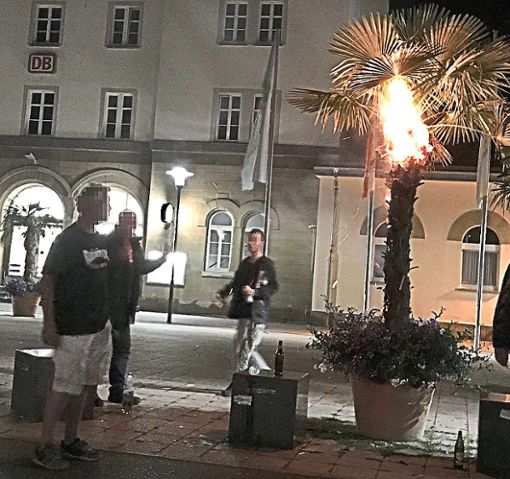 Mit einer Bierdose in der Hand verlässt der Brandstifter die brennende Palme.  Foto: Privat Foto: Schwarzwälder Bote