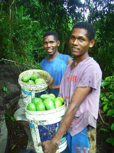 Harte Arbeit, die angemessen vergütet werden sollte: junge Filipinos mit geernteten Mangos. Foto: Schwarzwälder-Bote