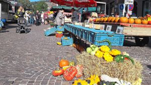 Beim Wochenmarkt zum Thema Herbst gibt es unter anderem Kürbisse zu kaufen. Foto: Rust Foto: Schwarzwälder Bote