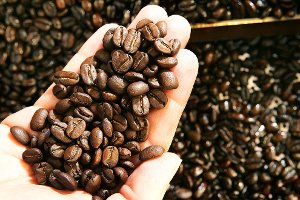 Zum Beispiel Kaffeebauern profitieren von fairem Handel: Sie erhalten für ihre Bohnen Preise, von denen sie leben können. Foto: Archiv