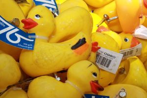 Am 30. Juni werden in der Brigach in Villingen wieder rund 5000 gelbe Quietsche-Enten für einen guten zweck schwimmen.  Foto: SB-Archiv