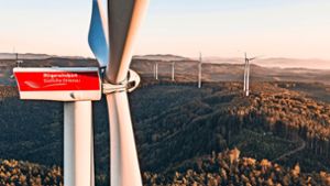 Der Bürgerwindpark Südliche Ortenau hat im vergangenen Jahr 45 Millionen Kilowattstunden Strom erzeugt. Foto: Ettenheimer Bürgerenergie/Joscha Bold