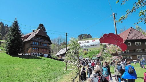 Für das geplante Fest kann das Orga-Team auf die Erfahrungen mit dem Bollenhut-Feschd 2017 zurückgreifen. Foto: Dorn