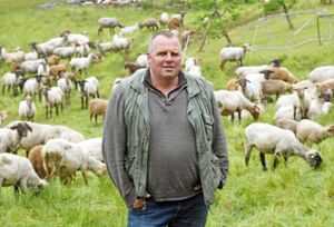 Der Schafhalter Gernot Fröschle steht auf einer Wiese an einem Teil seiner Schafherde.  Foto: dpa