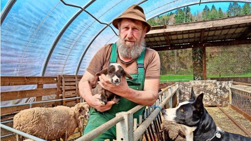 Das Lamm in Reinhard Bischlers Armen ist erst einen Tag alt und zu klein auf die Welt gekommen. Border Collie Ben ist auf dem Hof für das Hüten der Schafe zuständig. Foto: Merz