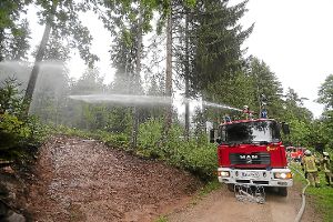 Die Feuerwehr Villingen bekämpft im Wieselsbachtal einen angenommenen Waldbrand.  Foto: Eich