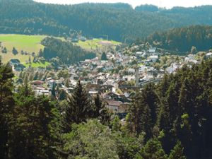 Die Hälfte der Tennenbronner Gemarkung ist mit Wald bewachsen. Archiv-Foto: Paskal Foto: Schwarzwälder Bote