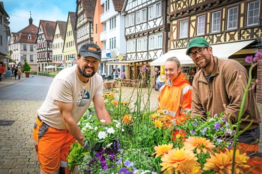 Armin Fessele (von links), Selina Eckert und Micheal Vogler bei der Umpflanz-Aktion am Blumenswing. Foto: Fritsch Foto: Schwarzwälder Bote