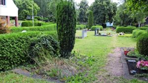 „Verwahrlost“: Oberndorfer Talfriedhof in keinem guten Zustand