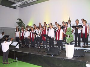 Der Chor Voices, Hearts & Souls hat die Zuhörer in Isingen mitgerissen. Fotos: May Foto: Schwarzwälder Bote
