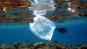 Studie: Bis zu elf Millionen Tonnen Müll auf dem Meeresgrund