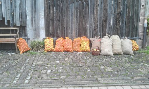 In Mindersbach    wird schon fleißig Obst für das Mostfest    gesammelt. Foto: Kälber Foto: Schwarzwälder Bote
