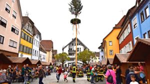 Maibaum in Oberndorf: Premiere macht Lust auf mehr