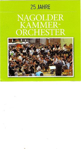 Im Jubiläumsjahr bringt das Nagolder Kammerorchester eine neue CD heraus. Foto: Fritsch/Städtische Musikschule Foto: Schwarzwälder-Bote