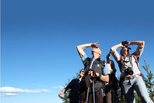 Beim ersten Feldberger Vogel-Tag können Interessierte die heimische Vogelwelt auf Deutschlands höchstem Mittelgebirgsgipfel unter fachkundiger Leitung beobachten. Foto: sb