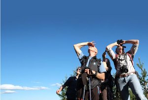 Beim ersten Feldberger Vogel-Tag können Interessierte die heimische Vogelwelt auf Deutschlands höchstem Mittelgebirgsgipfel unter fachkundiger Leitung beobachten. Foto: sb