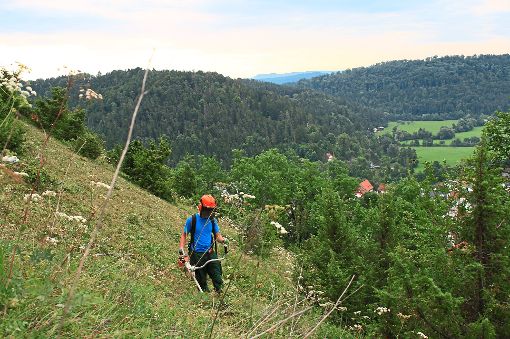 Körperlich harte Arbeit erledigen die Helfer des Albvereins  an der Käpelleshalde.  Foto: Albverein Foto: Schwarzwälder-Bote