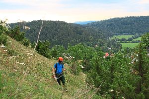 Körperlich harte Arbeit erledigen die Helfer des Albvereins  an der Käpelleshalde.  Foto: Albverein Foto: Schwarzwälder-Bote