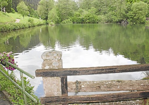 Der Bernecker See bietet ein idyllisches Bild, riecht aber streng. Foto: Köncke