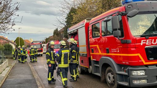 Zu einem Küchenbrand wurde die Lahrer Feuerwehr am Freitagmorgen gerufen. Foto: Späth/Einsatz-Report 24