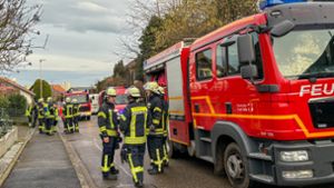 Zu einem Küchenbrand wurde die Lahrer Feuerwehr am Freitagmorgen gerufen. Foto: Späth/Einsatz-Report 24