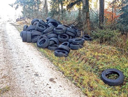 Eine riesen Schweinerei: Im Hüfinger Kohlwald wurden alte Reifen entsorgt und zwar in Massen.  Foto: Jerg