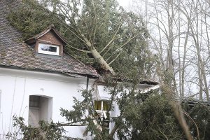 Schaden in Höhe von mehr als 30.000 Euro hat dieser umgestürzte Baum in der Nacht beim Hermann-Schwer-Kindergarten in Villingen verursacht. Am Dienstagnachmittag wurde das Dach provisorisch abgedeckt.  Foto: Eich