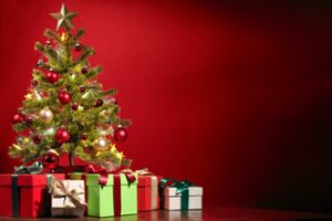 Regionalität und Nachhaltigkeit spielen bei der Auswahl eines Weihnachtsbaums bei vielen die größte Rolle. Foto: © Pexels / pixabay