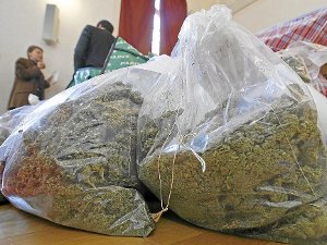 In einer Flüchtlingsunterkunft in Titisee-Neustadt hat die Polizei Marihuana gefunden und konfisziert. (Symbolfoto) Foto: dpa/symbolbild