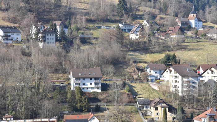 Anwohner sind entsetzt: 21 Häuser sollen in Schramberg entstehen
