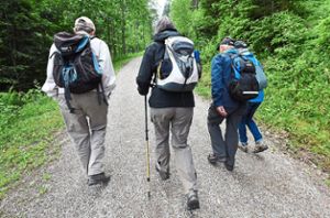 Vier geführte Wanderungen bieten die Wildberger Schwarzwaldvereins-Ortsgruppen in Zusammenarbeit mit der Stadtverwaltung an. Archiv-Foto: dpa/Seeger Foto: Schwarzwälder-Bote