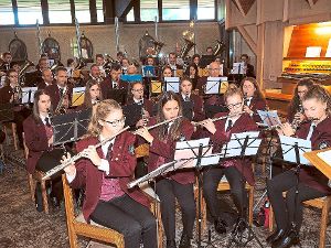 Die Bösinger Musikkapelle bereichert den Festgottesdienst. Foto: Hölsch Foto: Schwarzwälder-Bote