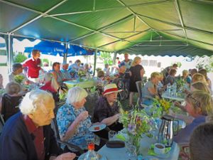 Ein  Sommerfest feiern die Bewohner und ihre Gäste.  Foto: Paskal Foto: Schwarzwälder Bote