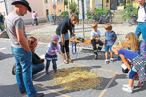 Für die Kinder gibt es beim Naturparkmarkt ein abwechslungsreiches Spielangebot. Foto: Stadt Foto: Schwarzwälder-Bote