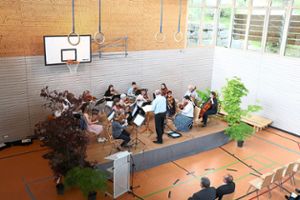Das Familienkammerorchester spielte in der Oberschwandorfer Festhalle. Foto: Geisel Foto: Schwarzwälder-Bote