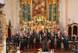 Der Männergesangverein Obernheim hat zum Konzert befreundete Chöre eingeladen.  Foto: Dürrschnabel Foto: Schwarzwälder Bote