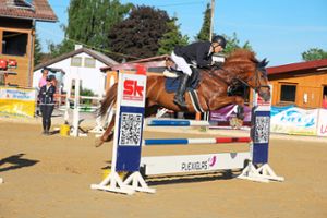 Springprüfungen finden beim Turnier am Pferdesportzentrum statt. Foto: Hübner Foto: Schwarzwälder Bote