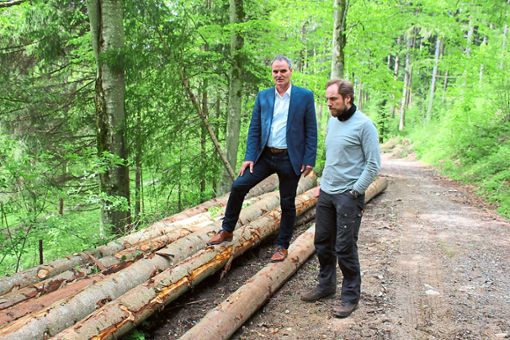 Die Käferschäden könnten sich  flächig im Wald ausbreiten, befürchten Bürgermeister Markus Huber und Förster Johannes Huber (von links). Foto: Steinmetz Foto: Schwarzwälder Bote
