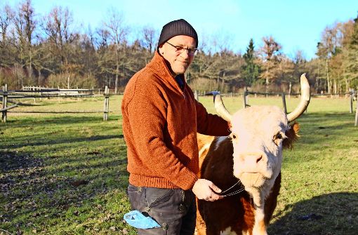 Nicolai van der Bellen mit einem Hinterwälder Rind Foto: Simone Ise/Südkurier