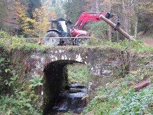 Forstarbeiten an der Schwallung Lay in Hinter-Kaltbrunn.  Foto: Schoch