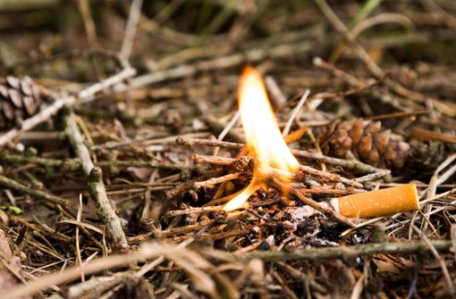 Manchmal reicht schon eine Zigarettenkippe, um ein Feuer zu entfachen. (Symbolfoto) Foto: tech-studio – stock.adobe.com